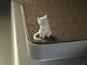 Mini gatto carino