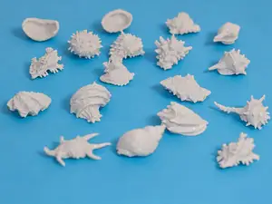 一组造景贝壳、海螺、海胆等海洋生物