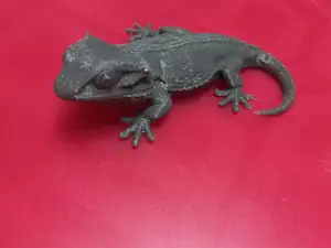 iguana art 3d