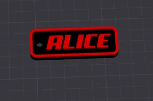 ALICE name keychain