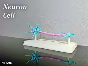 Neuro Cell Model