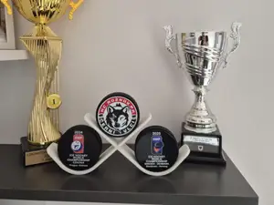 Hockey puck holder / stand