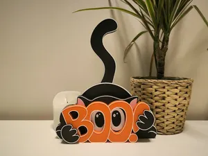 Boo Cat