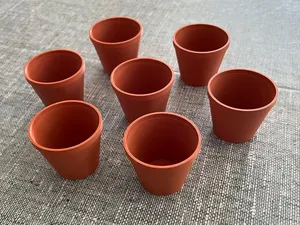 plant pot