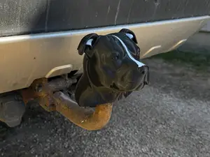 Securable stafford dog tow hook cover