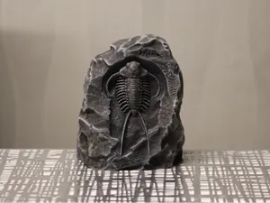 Versteinerter Trilobit 2 Fossil