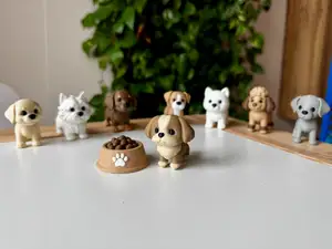 Shih Tzu dog