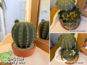 cactus jewelry box (AMS & No AMS)