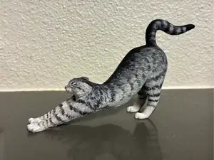Cat Stretching
