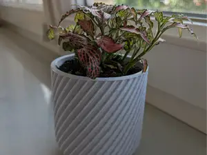 Plant pot