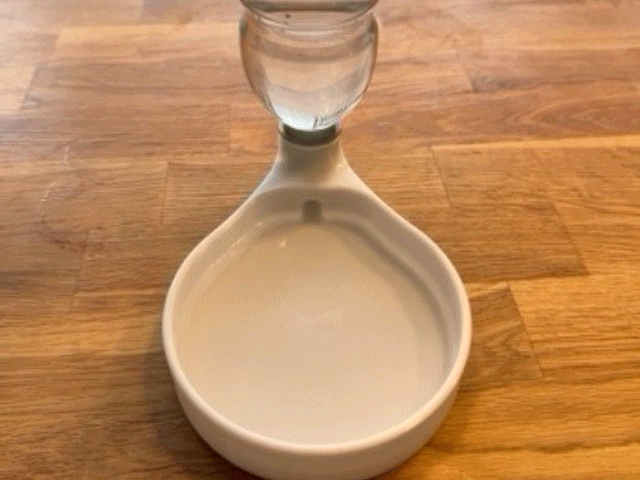 Wasserspender Wassertränke Haustier Katze Hund 3D