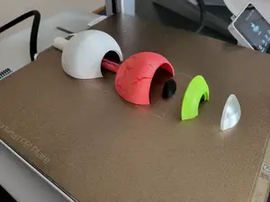 Anatomy of the human eye - model 3:1