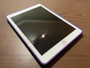 iPad Case (gen 6, 9.7-inch)