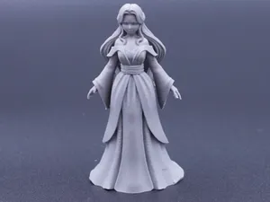 model of a lady in a long dress, mage, witch ect.