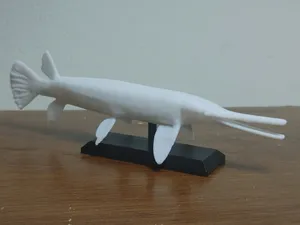 Longnose Gar Fish Mount