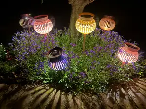 Solar Poppy Stake Light