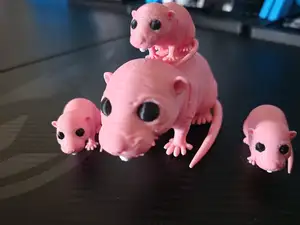 Naked Mole Rat