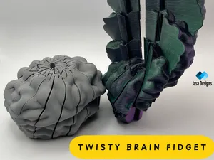Twisty Brain Fidget