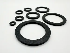 Parametric TPU Flat Gasket