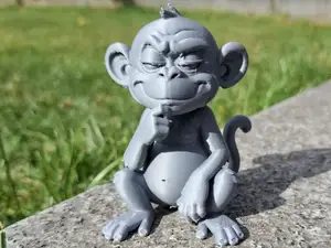 Cheeky Thinking Monkey
