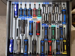 Screw Driver Modules