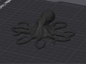 Cctopus