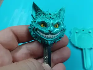 Coprichiave Stregatto