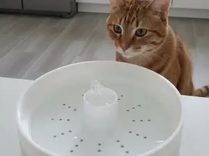The RippleFlow Pet Fountain