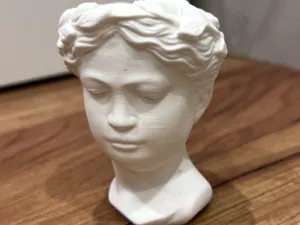 Empty-headed vase/decoration