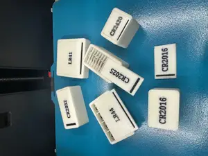 Button Cell Battery Storage Box