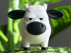 Grumpy British White Cow