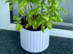 Modern Self Watering Planter