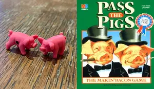 Pass The Pigs - Fun Game - Schweinerei