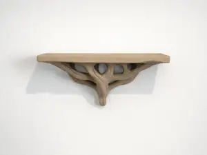 Rootform Shelf