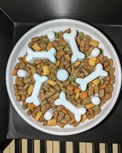 Slow Feeder Cat/Dog Bowl