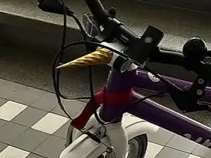 Woom Compatible Unicorn Kids Bike