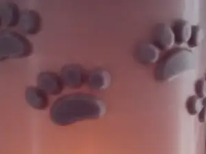 Lithophan Teelicht Tealigth Pfoten Paws