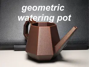 Modern Watering Can Pot