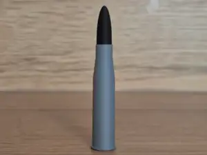 8 × 56 mm R