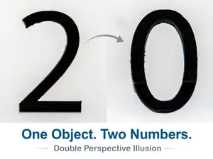 Number 20 Optical Illusion (10-99 available)