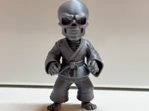 Esqueleto judoka. version Halloween