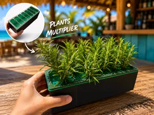 Plants multiplier vase