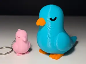 Cute Pigeon