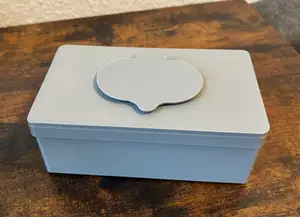 Wet Wipes Box with Hinged Lid and Magnetic Closure