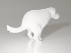 Dog pooping
