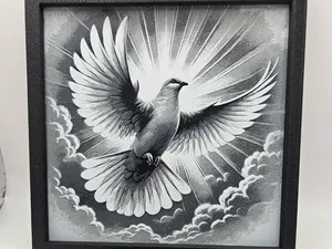 COLOMBE EN VOLE
