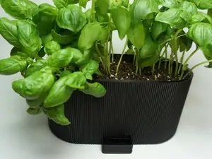Modern Self-Watering Ribbed Planter