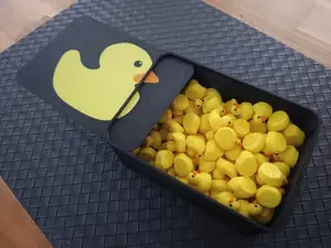 Boite pour Le jeu des 100 canards