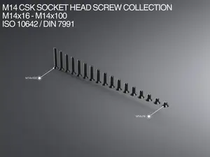 M14 CSK Socket Head Screw Collection M14x16-x100