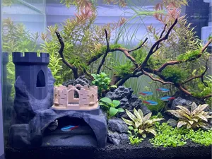 Aquarium Fish Cave [NO AMS]